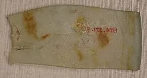 Fragment by Unknown Artist