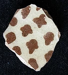 Fragment by Unknown Artist