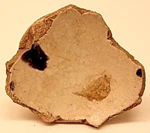 Fragment of a Bowl by Unknown Artist