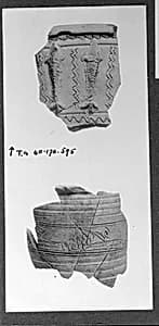 Fragment of Jar by Unknown Artist