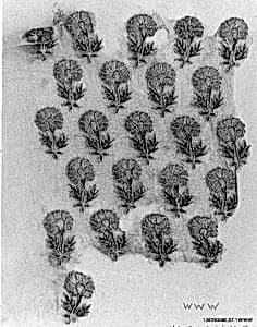 Fragment of Turban Cloth by Unknown Artist