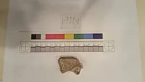 Stucco Fragment by Unknown Artist