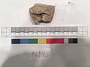Stucco Fragment by Unknown Artist