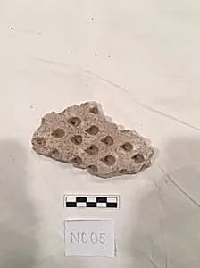 Stucco Fragment by Unknown Artist