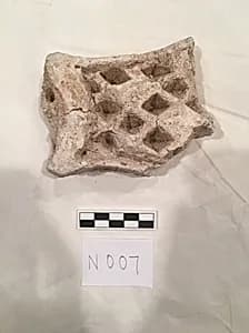 Stucco Fragment by Unknown Artist