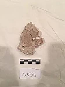 Stucco Fragment by Unknown Artist