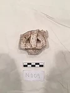 Stucco Fragment by Unknown Artist