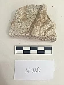 Stucco Fragment by Unknown Artist