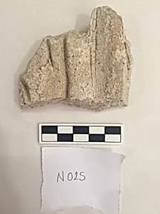 Stucco Fragment by Unknown Artist