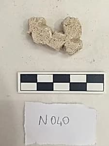 Stucco Fragment by Unknown Artist
