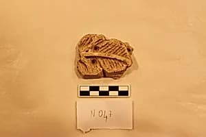 Stucco Fragment by Unknown Artist