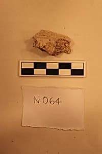 Stucco Fragment by Unknown Artist
