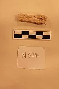 Stucco Fragment by Unknown Artist