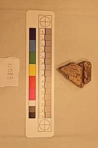 Stucco Fragment by Unknown Artist