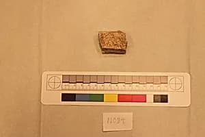 Stucco Fragment by Unknown Artist