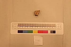 Stucco Fragment by Unknown Artist