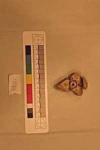 Stucco Fragment by Unknown Artist