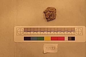 Stucco Fragment by Unknown Artist
