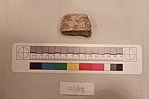 Stucco Fragment by Unknown Artist