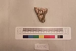 Stucco Fragment by Unknown Artist
