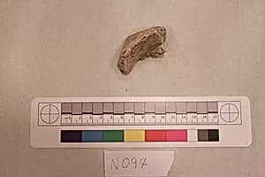 Stucco Fragment by Unknown Artist