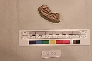 Stucco Fragment by Unknown Artist