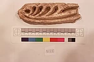 Stucco Fragment by Unknown Artist