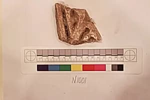 Stucco Fragment by Unknown Artist