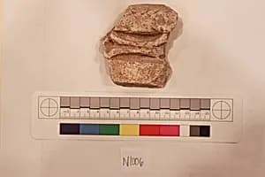 Stucco Fragment by Unknown Artist