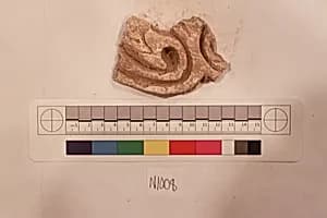 Stucco Fragment by Unknown Artist