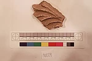 Stucco Fragment by Unknown Artist