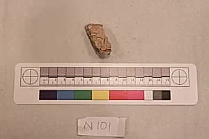 Stucco Fragment by Unknown Artist