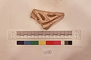 Stucco Fragment by Unknown Artist