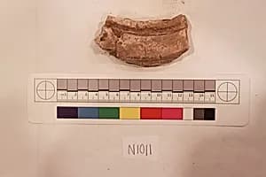 Stucco Fragment by Unknown Artist