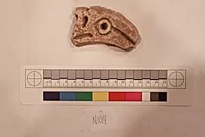 Stucco Fragment by Unknown Artist