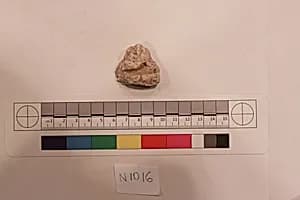 Stucco Fragment by Unknown Artist