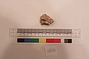 Stucco Fragment by Unknown Artist