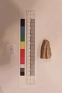 Stucco Fragment by Unknown Artist