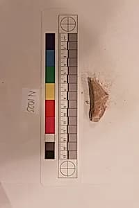Stucco Fragment by Unknown Artist