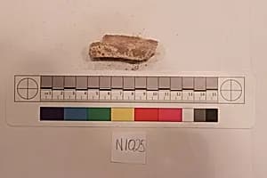 Stucco Fragment by Unknown Artist