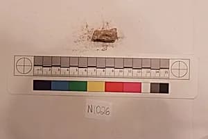 Stucco Fragment by Unknown Artist