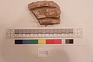 Stucco Fragment by Unknown Artist