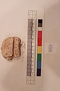 Stucco Fragment by Unknown Artist