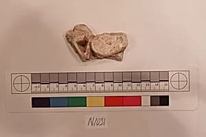 Stucco Fragment by Unknown Artist