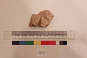 Stucco Fragment by Unknown Artist