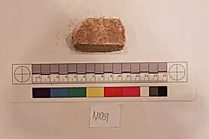 Stucco Fragment by Unknown Artist