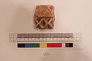 Stucco Fragment by Unknown Artist