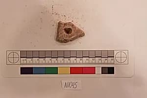Stucco Fragment by Unknown Artist