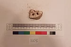 Stucco Fragment by Unknown Artist
