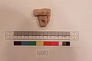 Stucco Fragment by Unknown Artist